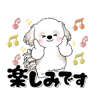 背景が動くシーズー犬「よく使う言葉」NO.1（個別スタンプ：14）