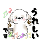 背景が動くシーズー犬「よく使う言葉」NO.1（個別スタンプ：15）