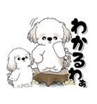 背景が動くシーズー犬「よく使う言葉」NO.1（個別スタンプ：18）