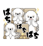 背景が動くシーズー犬「よく使う言葉」NO.1（個別スタンプ：19）