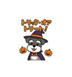 シュナでハッピーハロウィン（個別スタンプ：1）