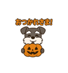 シュナでハッピーハロウィン（個別スタンプ：6）