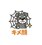 シュナでハッピーハロウィン（個別スタンプ：14）