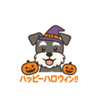 シュナでハッピーハロウィン（個別スタンプ：16）
