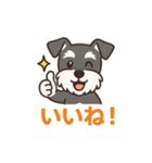 シュナでハッピーハロウィン（個別スタンプ：19）