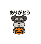 シュナでハッピーハロウィン（個別スタンプ：20）