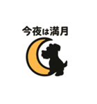 シュナでハッピーハロウィン（個別スタンプ：23）