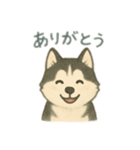 シベリアンハスキー 文字少なめ（個別スタンプ：1）