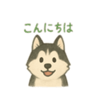 シベリアンハスキー 文字少なめ（個別スタンプ：5）