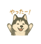 シベリアンハスキー 文字少なめ（個別スタンプ：6）