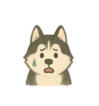 シベリアンハスキー 文字少なめ（個別スタンプ：9）
