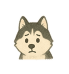 シベリアンハスキー 文字少なめ（個別スタンプ：11）