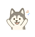 シベリアンハスキー 文字少なめ（個別スタンプ：13）