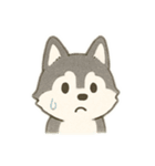 シベリアンハスキー 文字少なめ（個別スタンプ：21）
