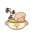 トイプードル「アプリコット」カフェ（個別スタンプ：2）
