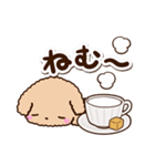 トイプードル「アプリコット」カフェ（個別スタンプ：3）