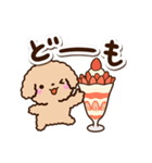 トイプードル「アプリコット」カフェ（個別スタンプ：4）