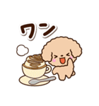 トイプードル「アプリコット」カフェ（個別スタンプ：7）