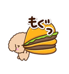 トイプードル「アプリコット」カフェ（個別スタンプ：10）