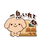 トイプードル「アプリコット」カフェ（個別スタンプ：12）