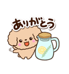 トイプードル「アプリコット」カフェ（個別スタンプ：17）