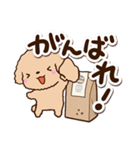 トイプードル「アプリコット」カフェ（個別スタンプ：24）