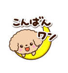 トイプードル「アプリコット」カフェ（個別スタンプ：29）