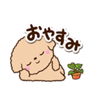 トイプードル「アプリコット」カフェ（個別スタンプ：32）