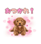 ふわもこプードル♡スタンプ（個別スタンプ：6）
