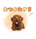 ふわもこプードル♡スタンプ（個別スタンプ：26）