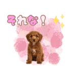 ふわもこプードル♡スタンプ（個別スタンプ：32）