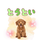 ふわもこプードル♡スタンプ（個別スタンプ：37）