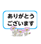 シニアマダム達 こんにちは No127（個別スタンプ：12）
