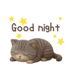 3D猫・英語（個別スタンプ：12）