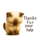 3D猫・英語（個別スタンプ：23）