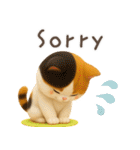 3D猫・英語（個別スタンプ：25）