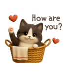 3D猫・英語（個別スタンプ：29）