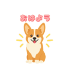 シンプルなコーギースタンプ（個別スタンプ：1）