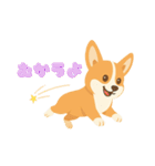 シンプルなコーギースタンプ（個別スタンプ：4）