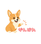 シンプルなコーギースタンプ（個別スタンプ：5）