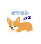 シンプルなコーギースタンプ（個別スタンプ：9）