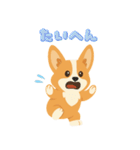 シンプルなコーギースタンプ（個別スタンプ：11）
