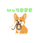 シンプルなコーギースタンプ（個別スタンプ：12）