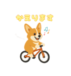 シンプルなコーギースタンプ（個別スタンプ：13）