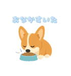 シンプルなコーギースタンプ（個別スタンプ：14）