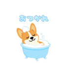 シンプルなコーギースタンプ（個別スタンプ：17）