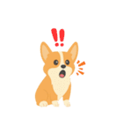 シンプルなコーギースタンプ（個別スタンプ：21）