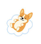 シンプルなコーギースタンプ（個別スタンプ：24）