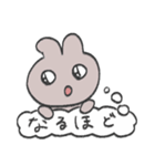 きら目のうさぎ/吹き出し編（個別スタンプ：13）