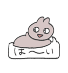 きら目のうさぎ/吹き出し編（個別スタンプ：19）